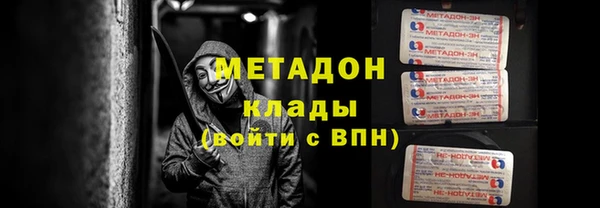 индика Алексин