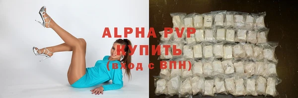 индика Алексин