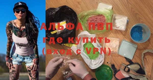 индика Алексин