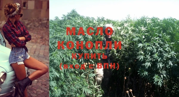 дмт Алзамай