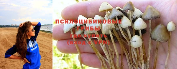 индика Алексин