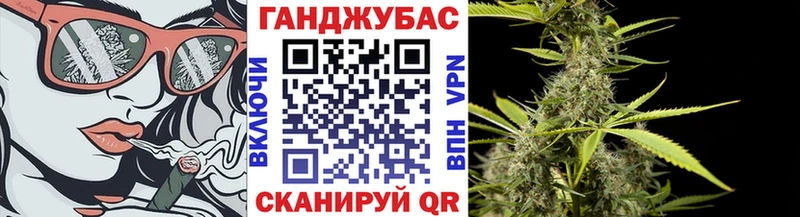 где можно купить   Елец  МАРИХУАНА сатива 
